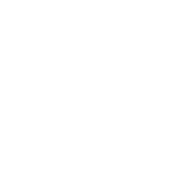 Jautis