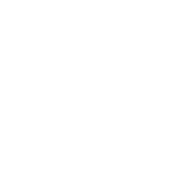 Dvyniai