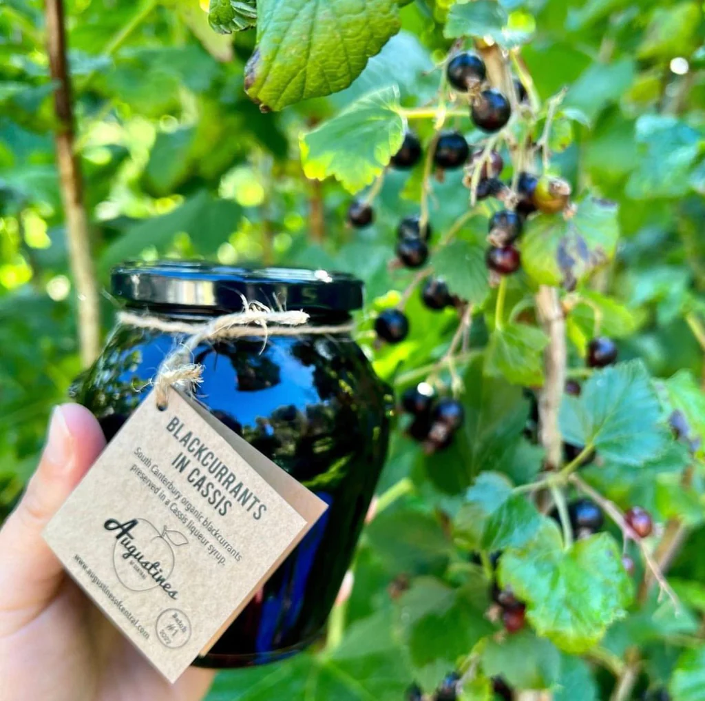 Juodųjų serbentų nauda sveikatai, tai ne tik vitamino C šaltinis