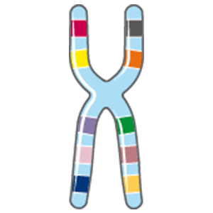 Įgimtos formavimosi ydos, deformacijos ir chromosomų anomalijos